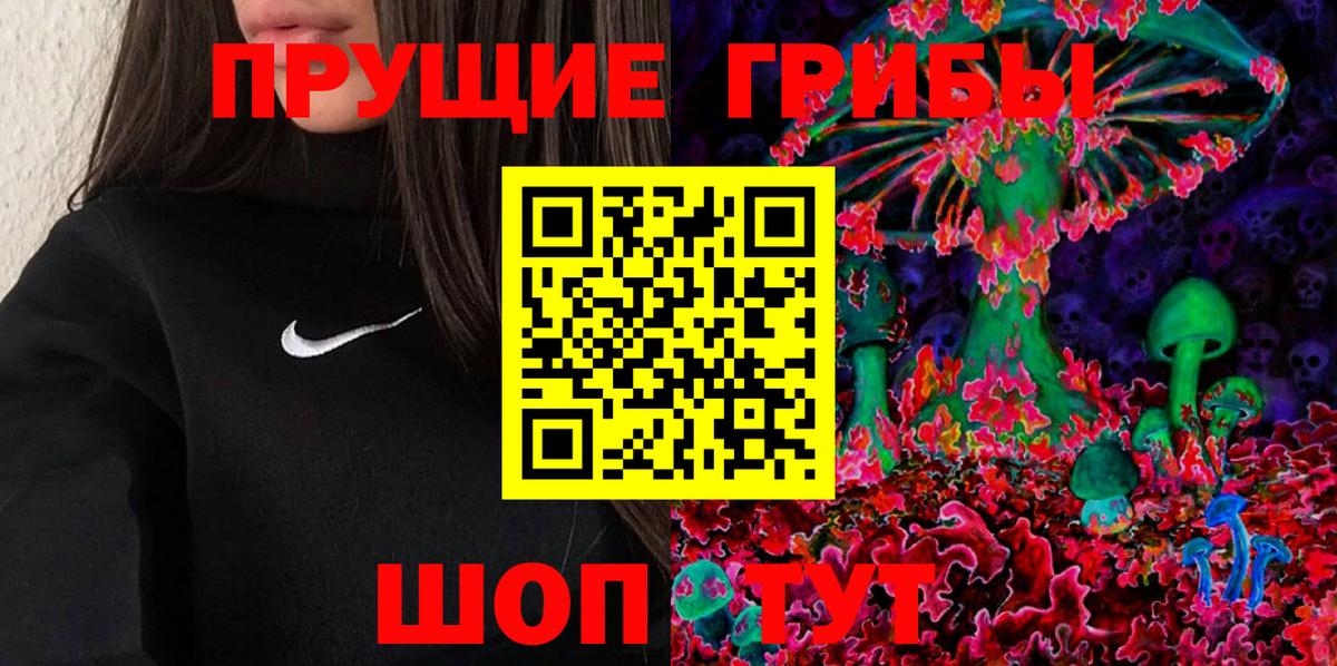 Галлюциногенные грибы прущие грибы Кольчугино