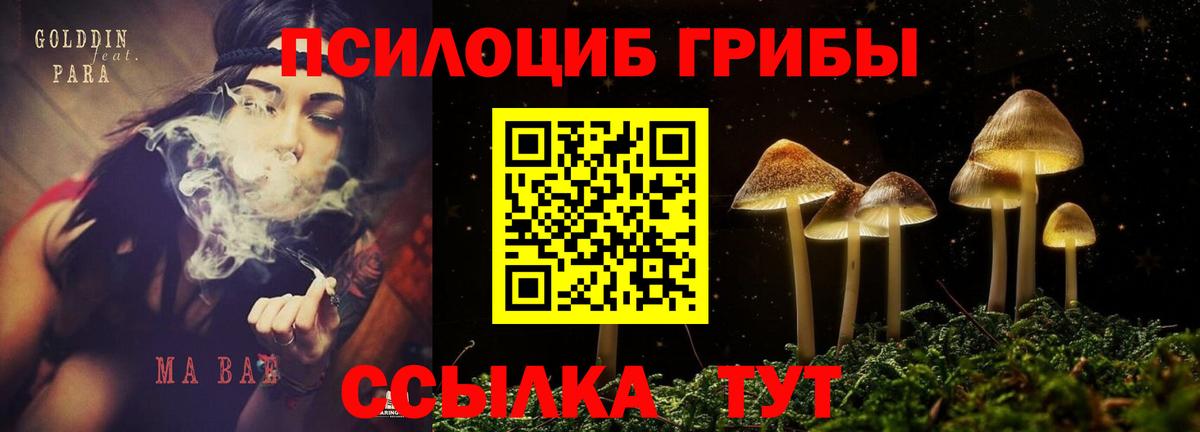 наркошоп  Вход с VPN  Кольчугино  Псилоцибиновые грибы Magic Shrooms 